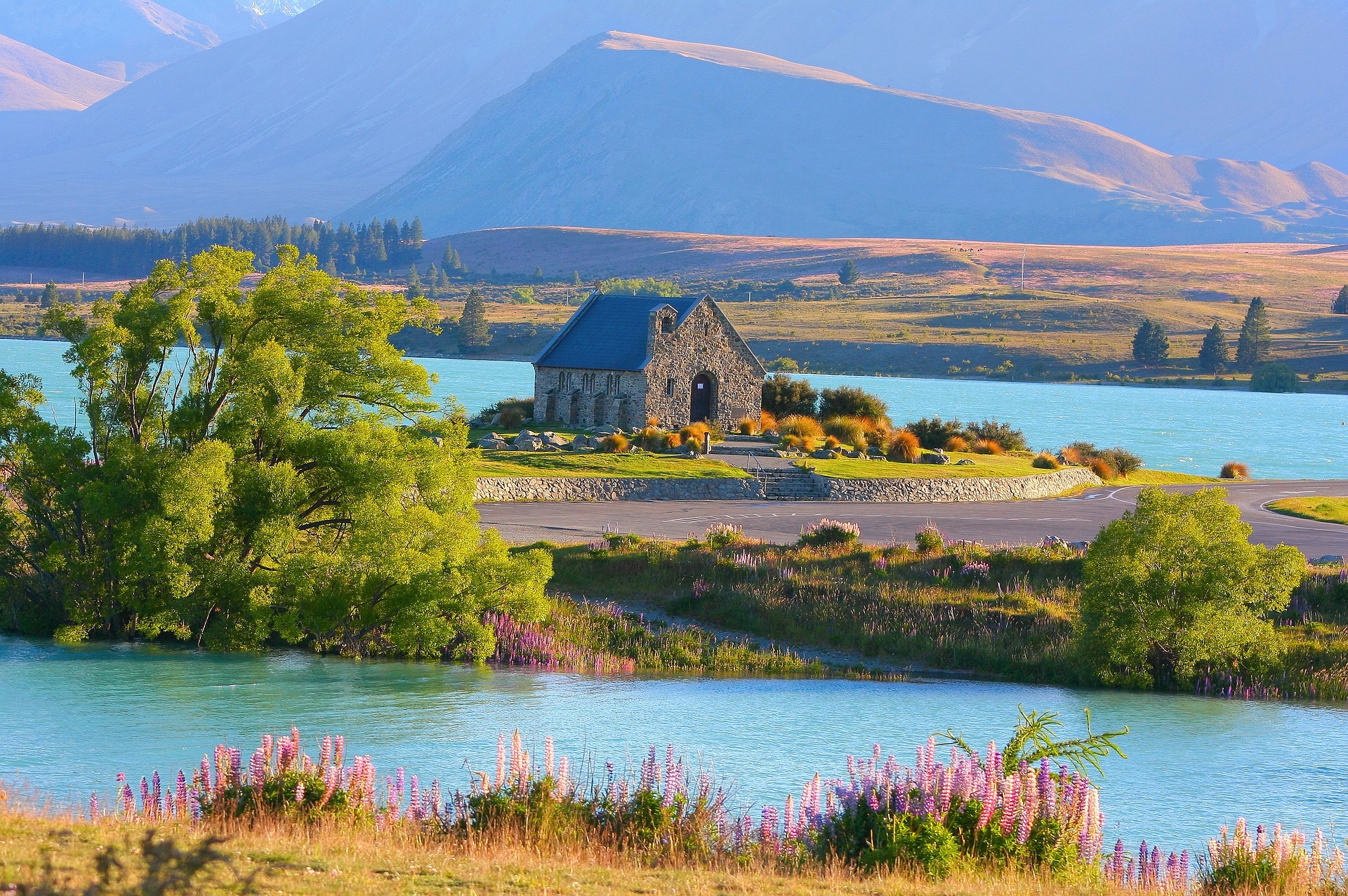 Lake Tekapo South Island Trip