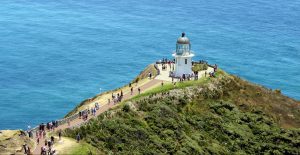 Cape Reinga Lighthouse Free Trip Planner New Zealand