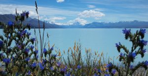 New Zealand South Island lake