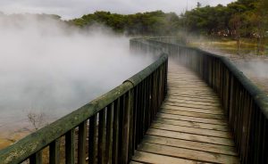 Kuirau Park, Rotorua Free Trip Planner New Zealand