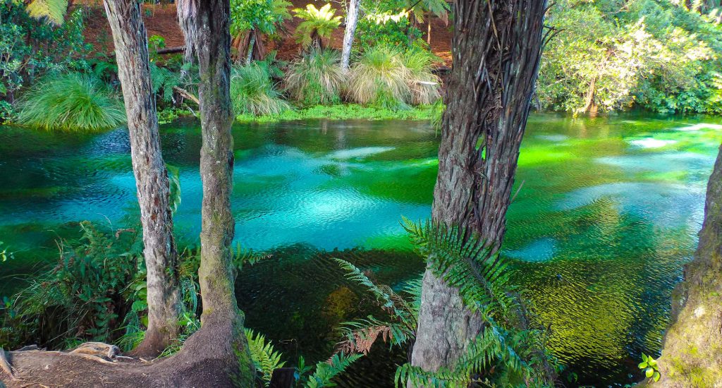 Hamurana Springs