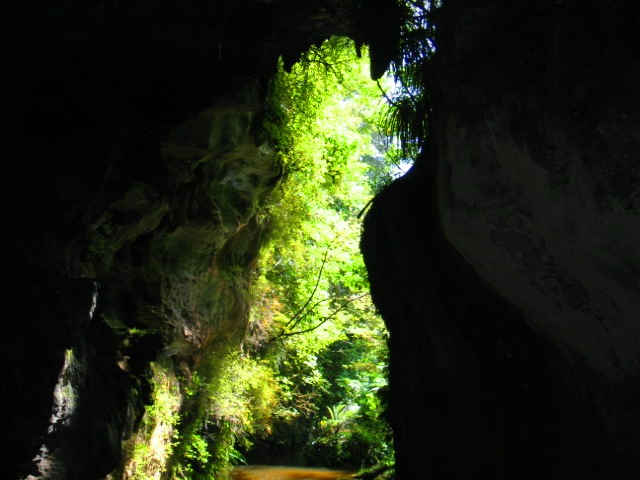 Waitomo Caves