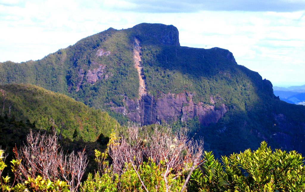 The Pinnacles Coromandel New Zealand