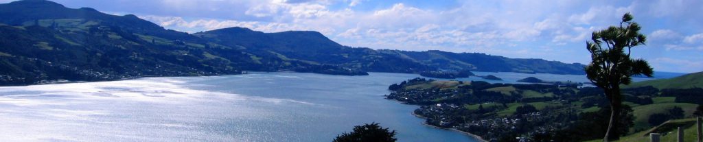 Otago Peninsula Dunedin Harbour