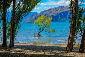 Wanaka