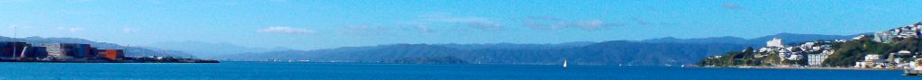 Wellington Harbour