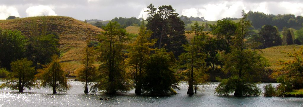 Lake McLaren, Tauranga