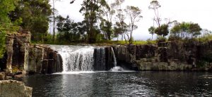 charlies rock kerikeri