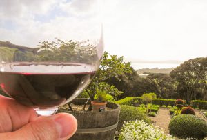 waiheke winery